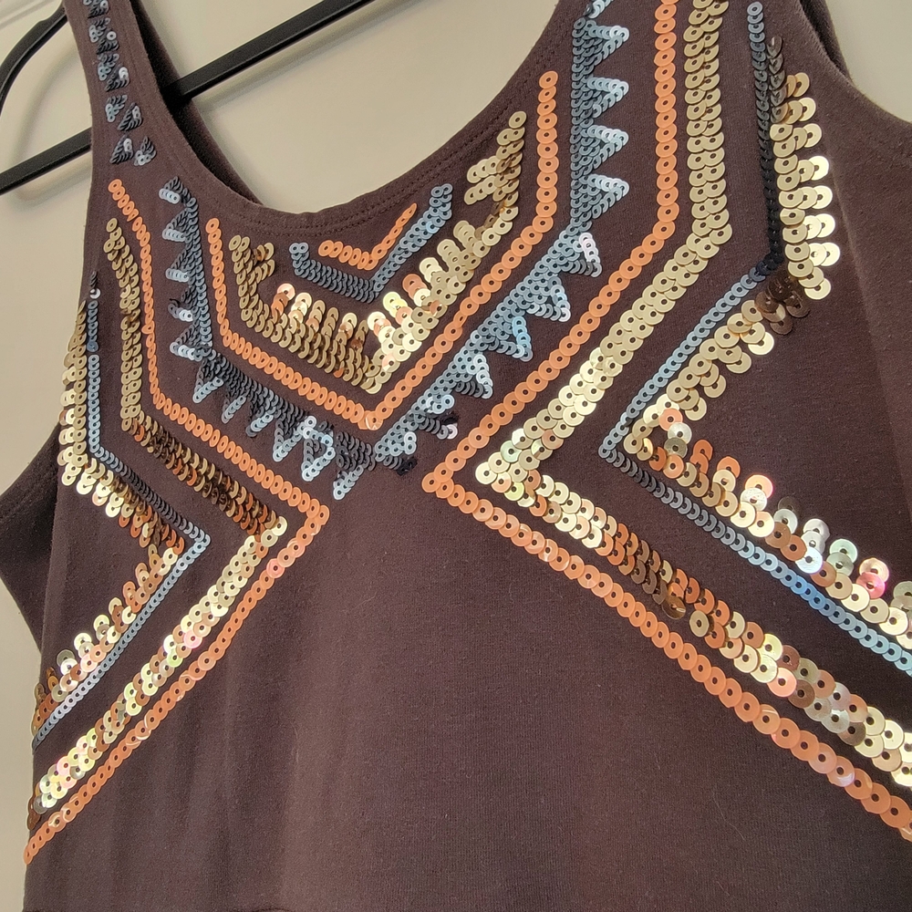 Express Grey Sequined Dress